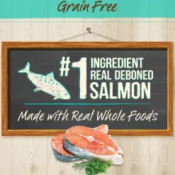 Purrfect Bistro Grain-Free Real Salmon + Sweet Potato Recipe Adult Cat Food