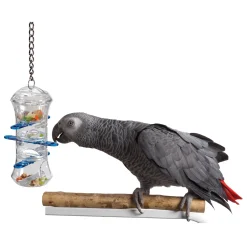 Push & Pull Bird Toy