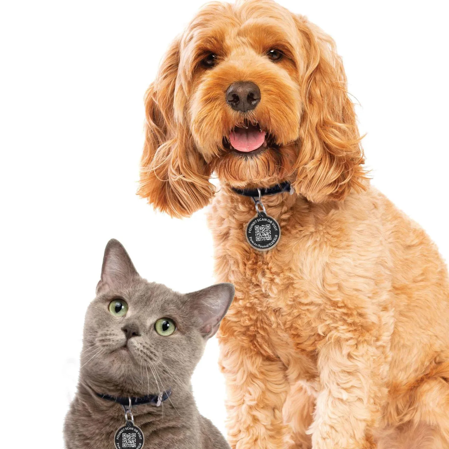 QR The Smart Pet Tag