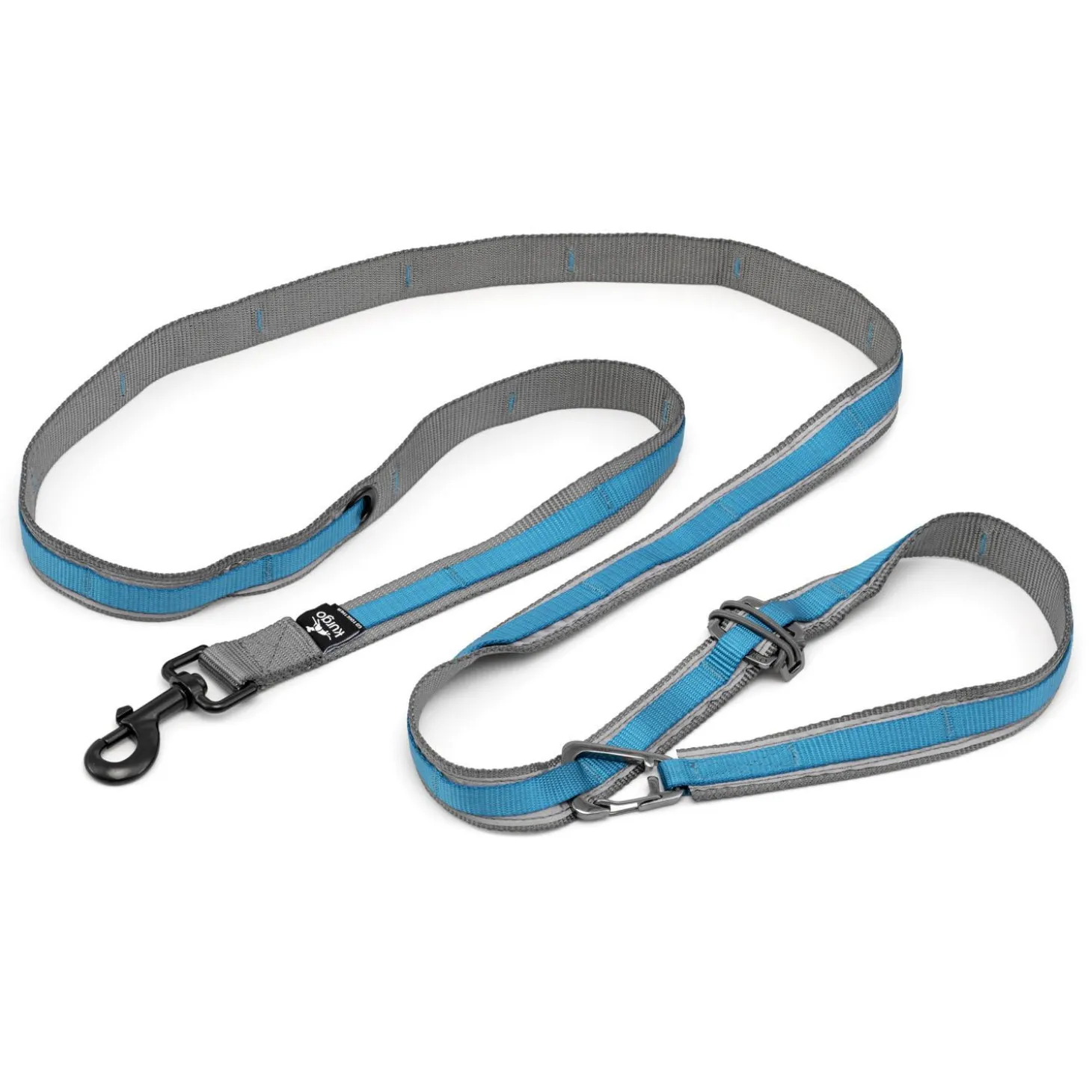 Quantum 1in Blue Dog Leash