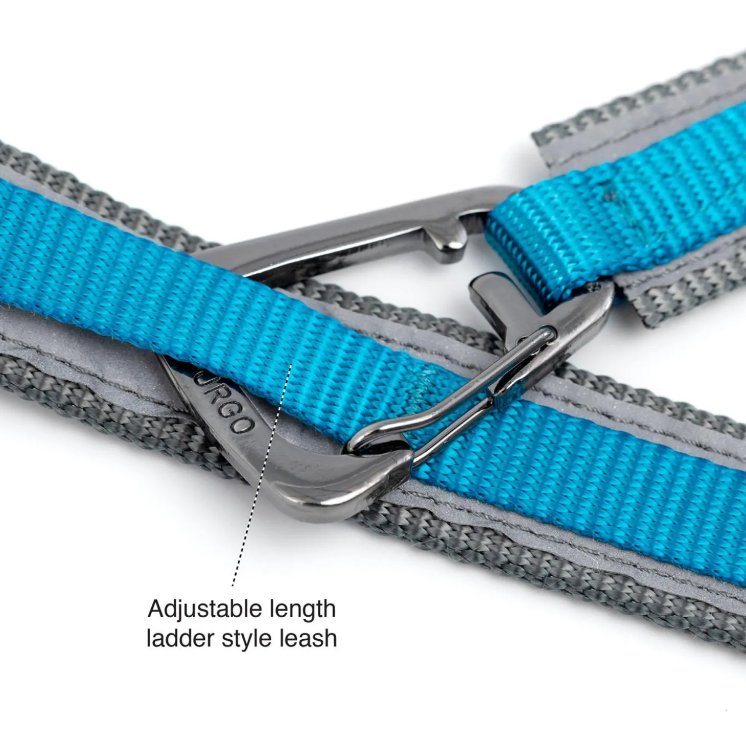 Quantum 1in Blue Dog Leash