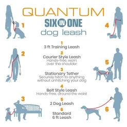 Quantum 1in Blue Dog Leash