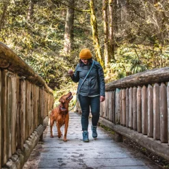 Quantum 1in Blue Dog Leash