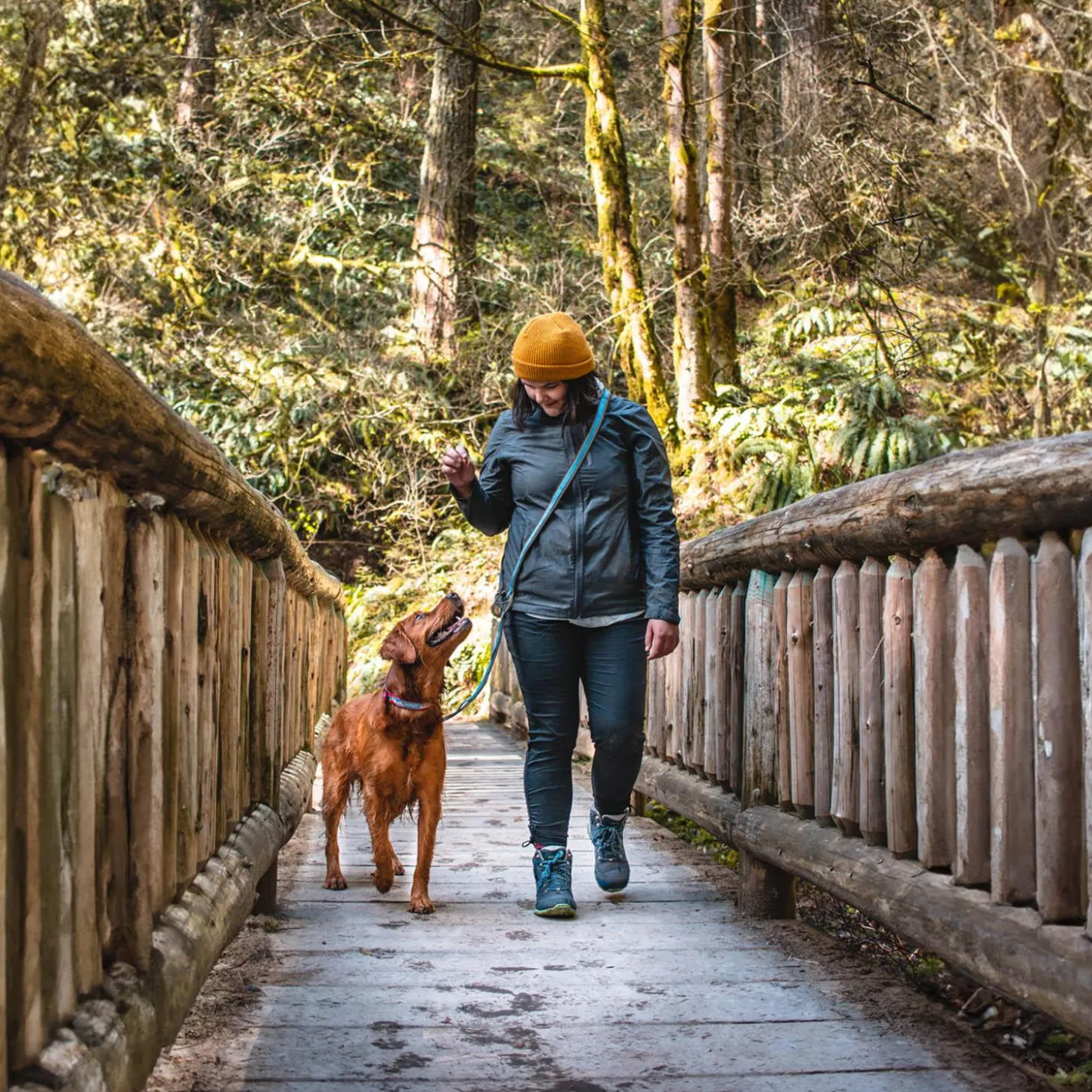 Quantum 1in Blue Dog Leash