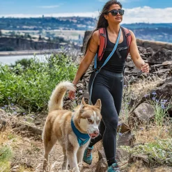 Quantum 1in Orange Dog Leash