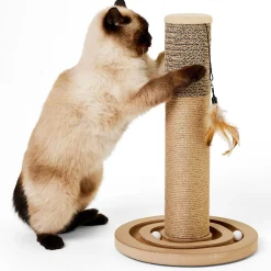 Race Track Cat Scratching Post