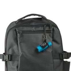 RadDog Blue Collapsible Bowl