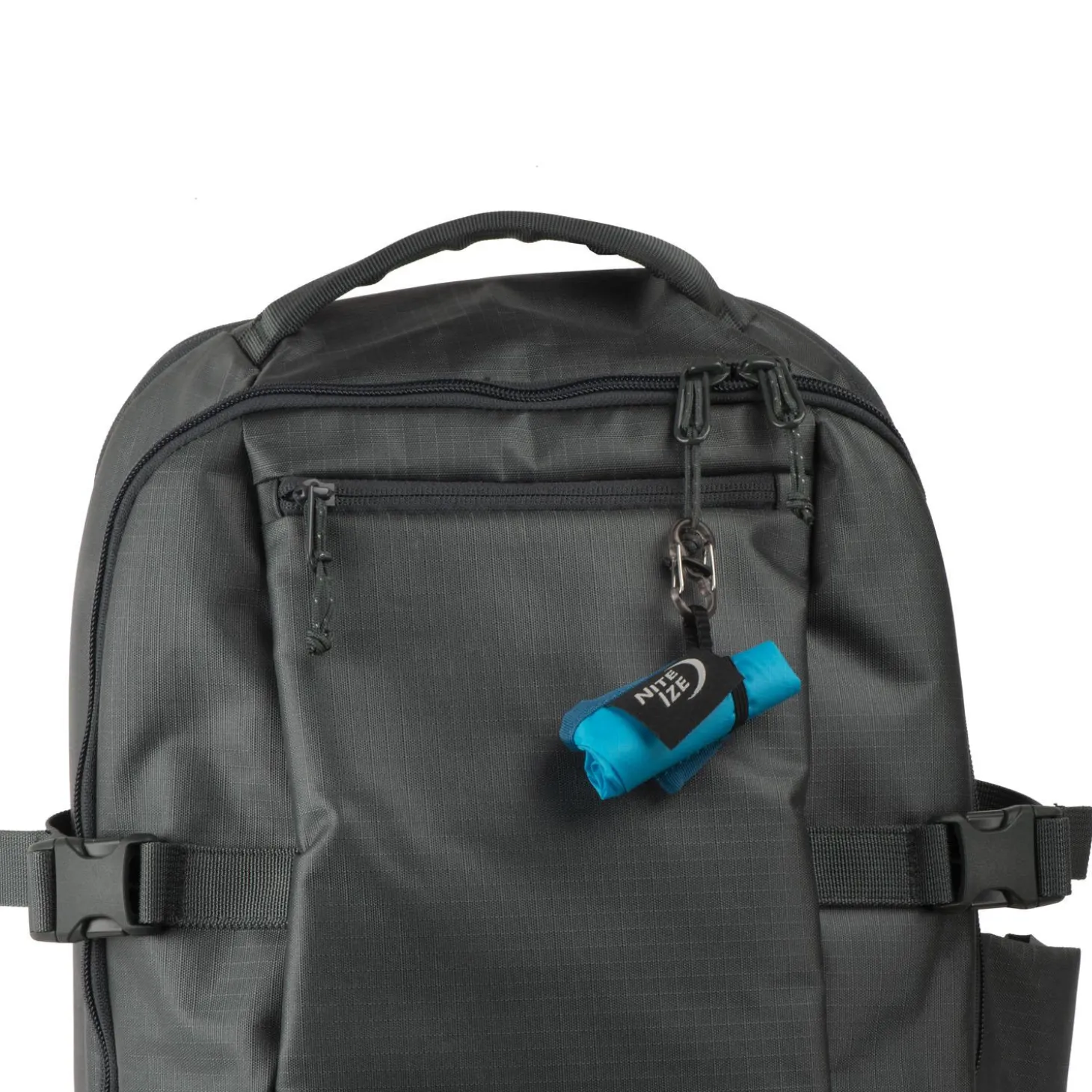 RadDog Blue Collapsible Bowl