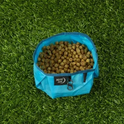 RadDog Blue Collapsible Bowl