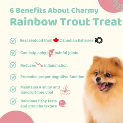 Rainbow Trout Fillet Air-Dried Dog & Cat Treats