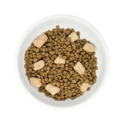 Raw Blend Cage Free Recipe Cat Food
