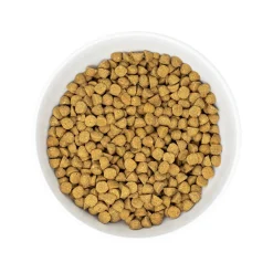 Raw Coated Small Breed Chicken Recipe Dog Food