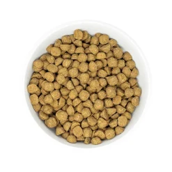 Raw Coated Wholesome Grain Beef Recipe Dog Food