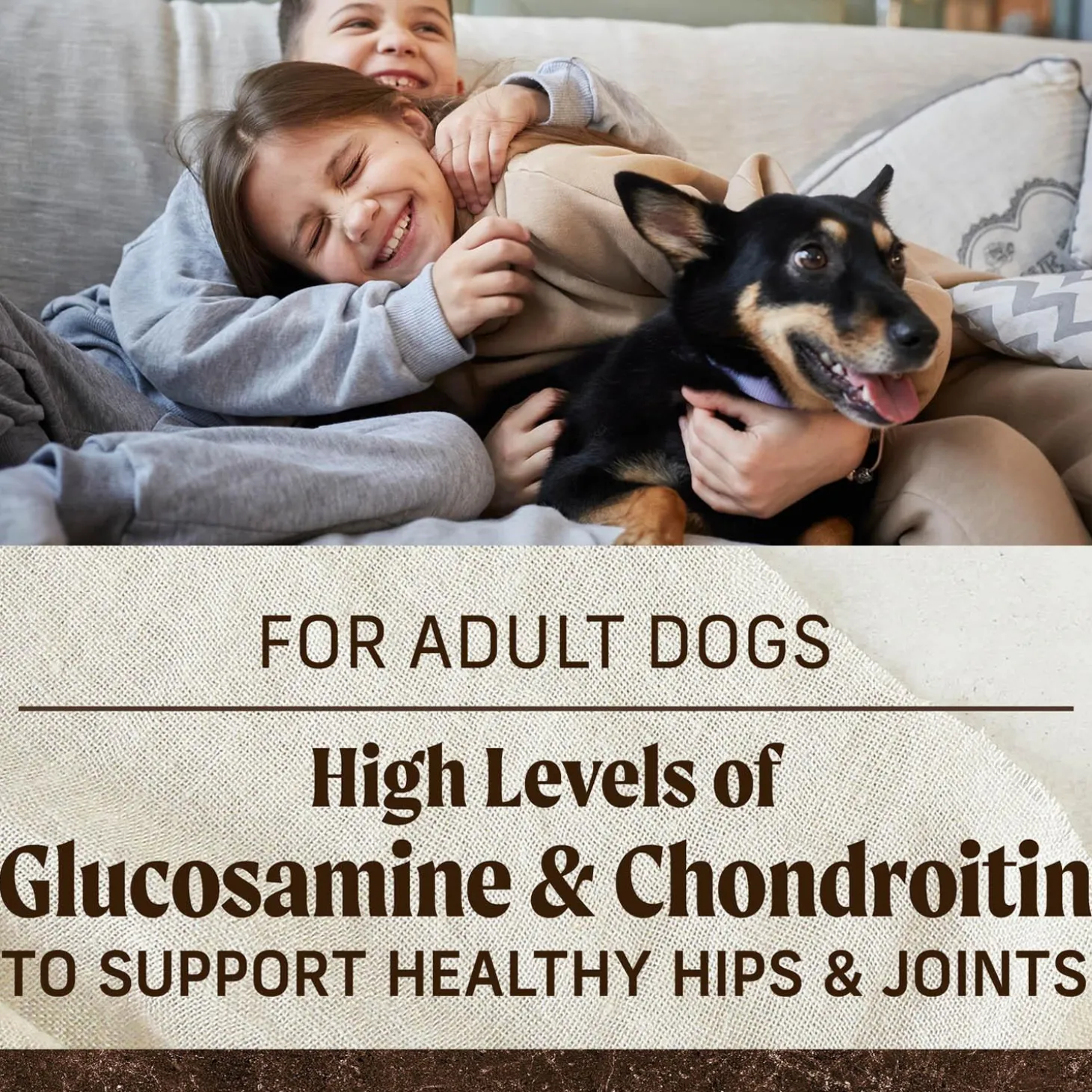 Real Chicken + Sweet Potato Recipe Adult Dog Food