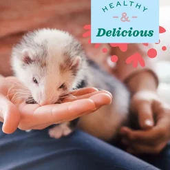 Real Prey Rewards Turkey Flavour Ferret Treats