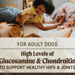 Real Salmon + Sweet Potato Recipe Adult Dog Food