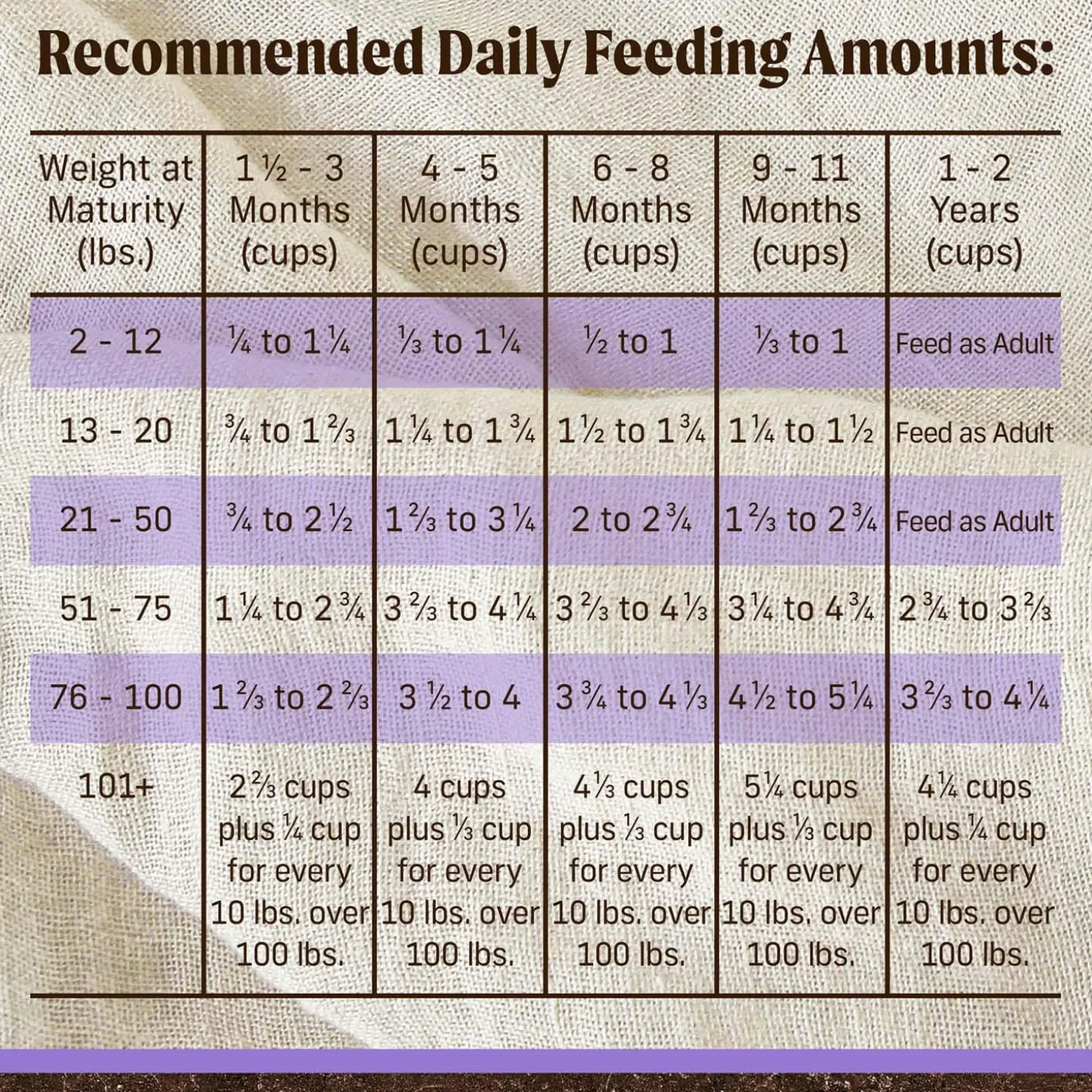Real Texas Beef + Sweet Potato Puppy Dog Food