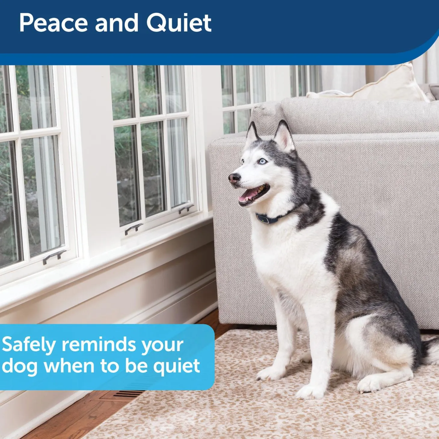 Rechargeable Bark Control Dog Collar