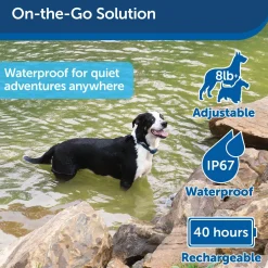 Rechargeable Bark Control Dog Collar