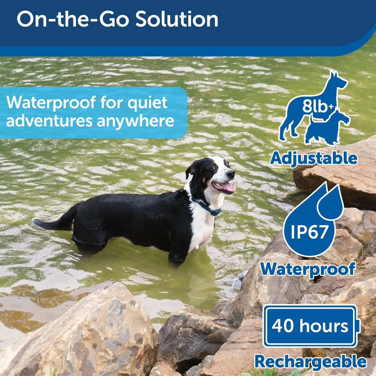 Rechargeable Bark Control Dog Collar