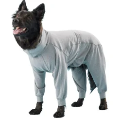 Recovery Grey Overalls