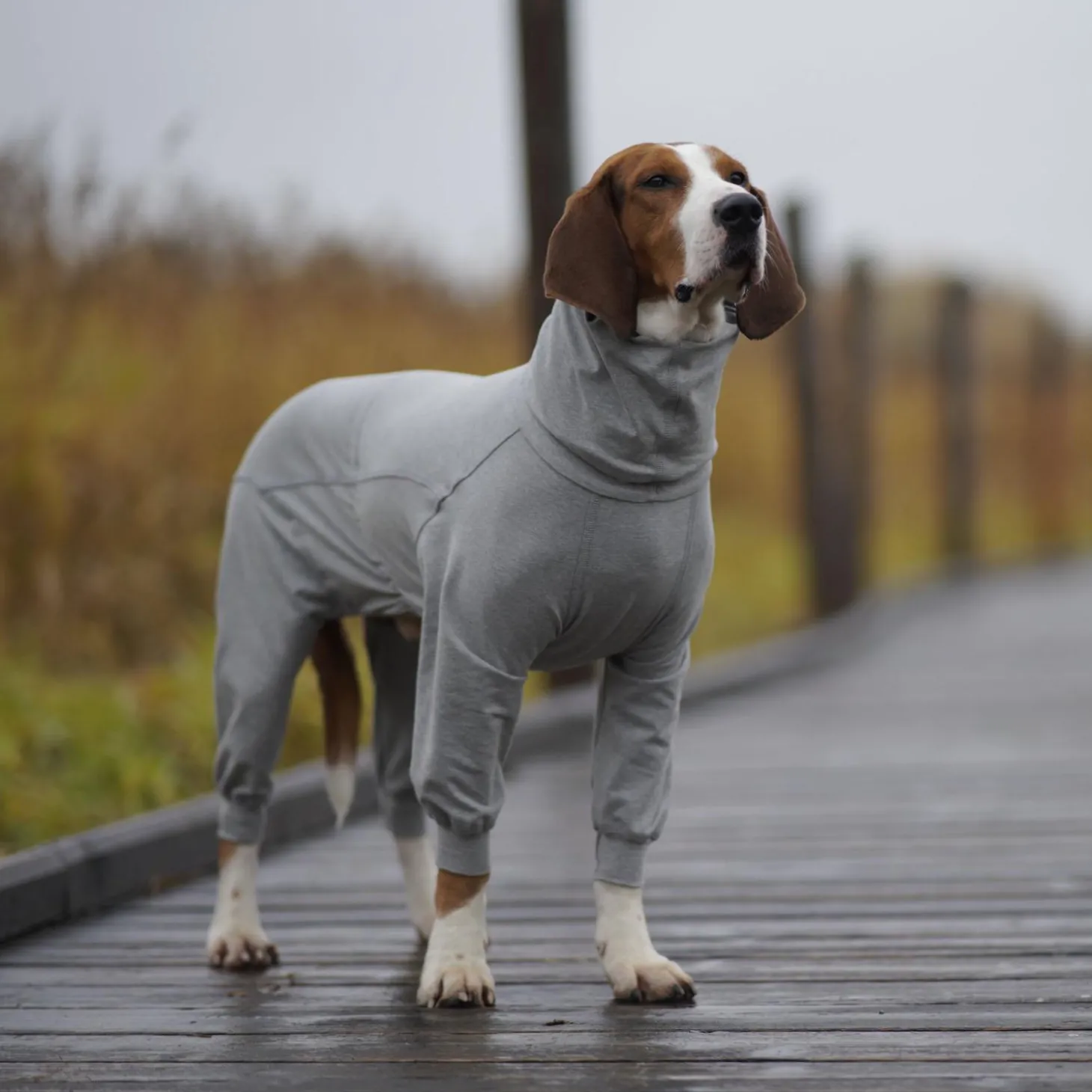 Recovery Grey Overalls