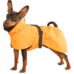 Recovery Orange Raincoat