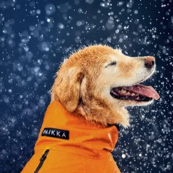 Recovery Orange Raincoat