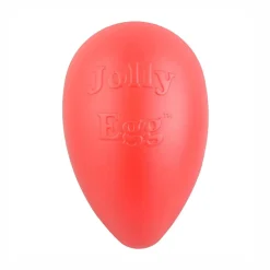 Red Egg Dog Toy