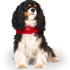 Red Harness Puffer Coat