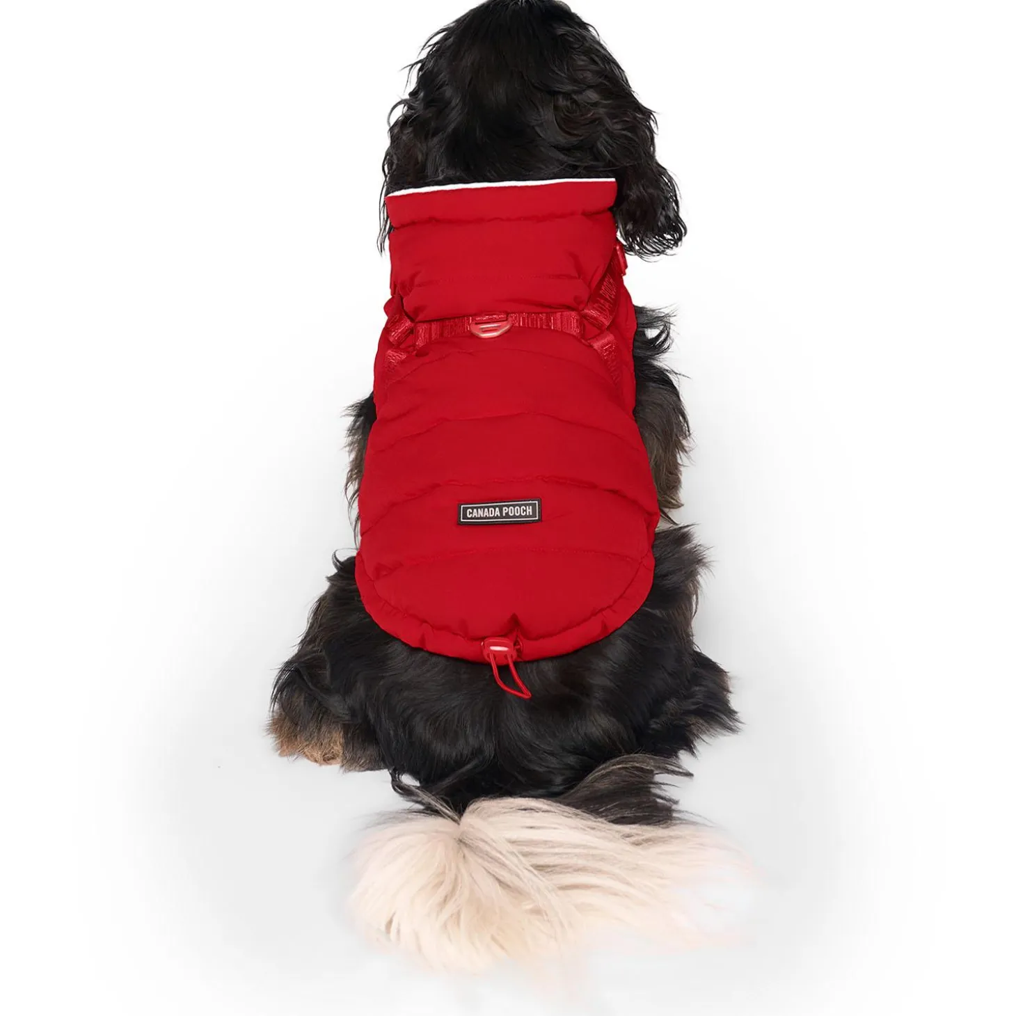 Red Harness Puffer Coat