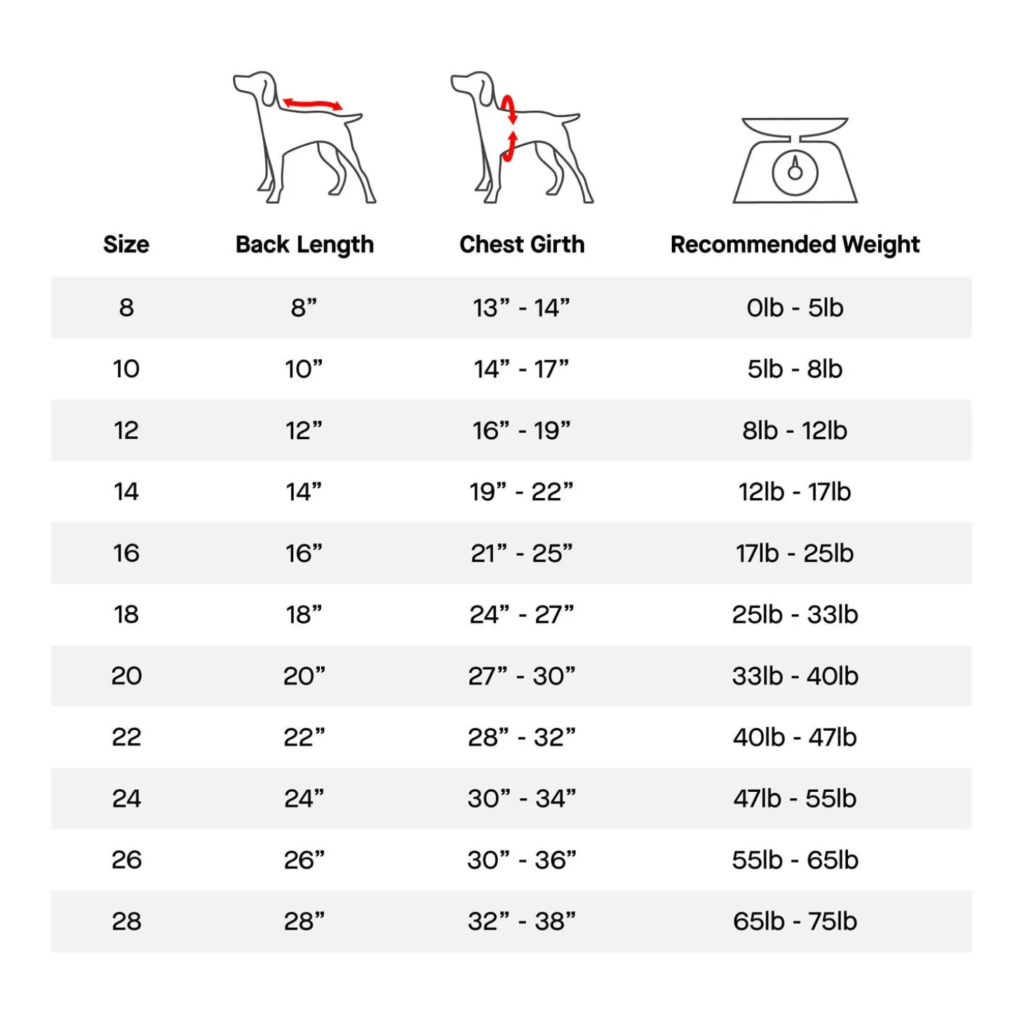 Red Harness Puffer Coat