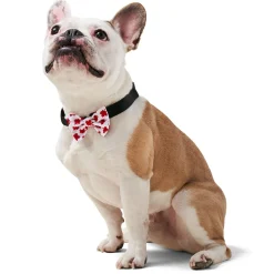 Red Maple Leaf Bowtie Slider