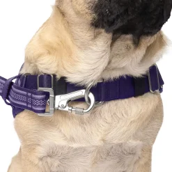 Re-Direct Purple & Lavender Dog Harness