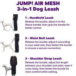 Reflective Mesh Red Dog Leash