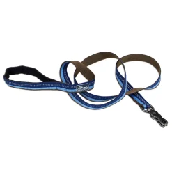 Reflective Nylon Scissor Snap Dog Leash 5/8in - Sapphire