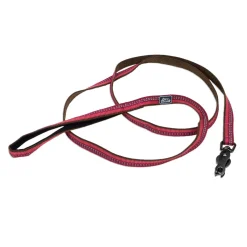 Reflective Nylon Scissor Snap Dog Leash 5/8in - Berry