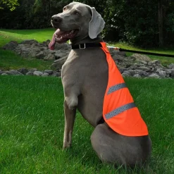 Reflective Safety Neon Orange Vest