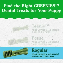 Regular Puppy Dental Dog Treats