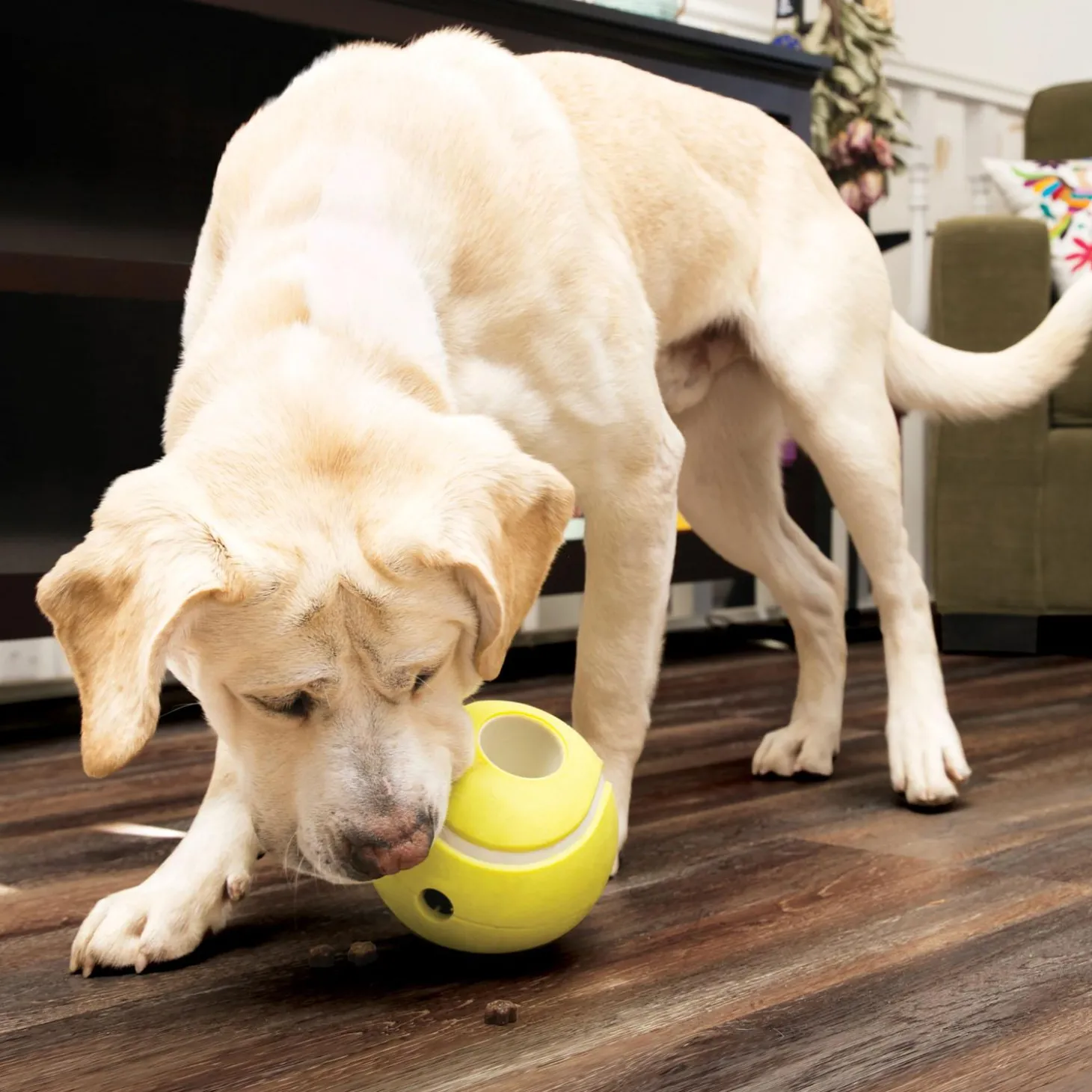 Rewards Tennis Dog Toy