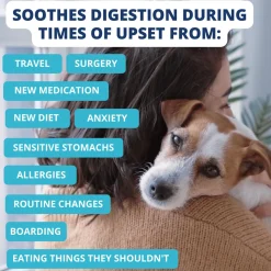 Rice & Chicken Freeze Dried Bland Dog Diet