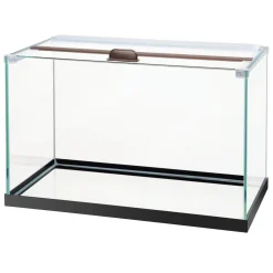 Rimless Rectangle Aquarium