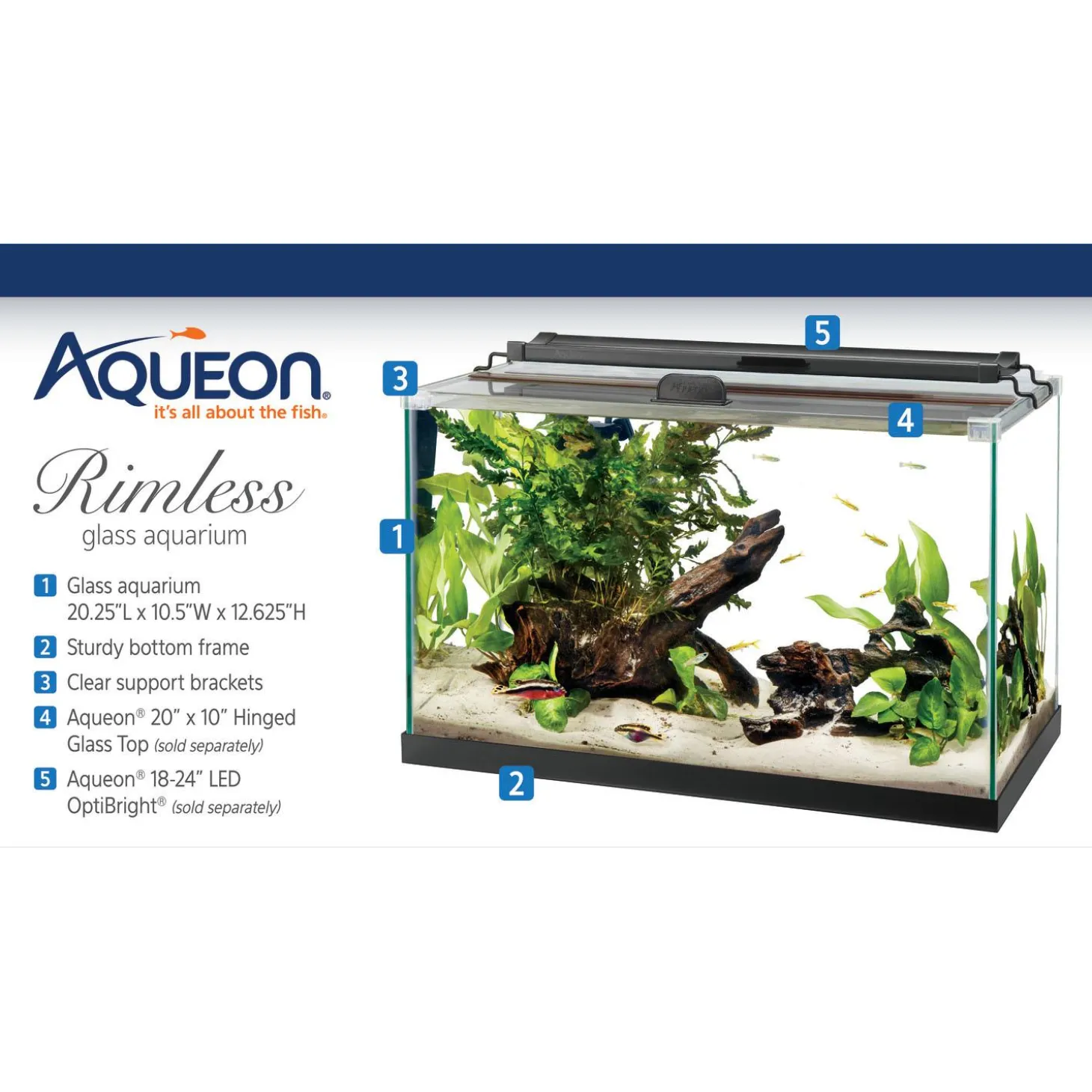 Rimless Rectangle Aquarium