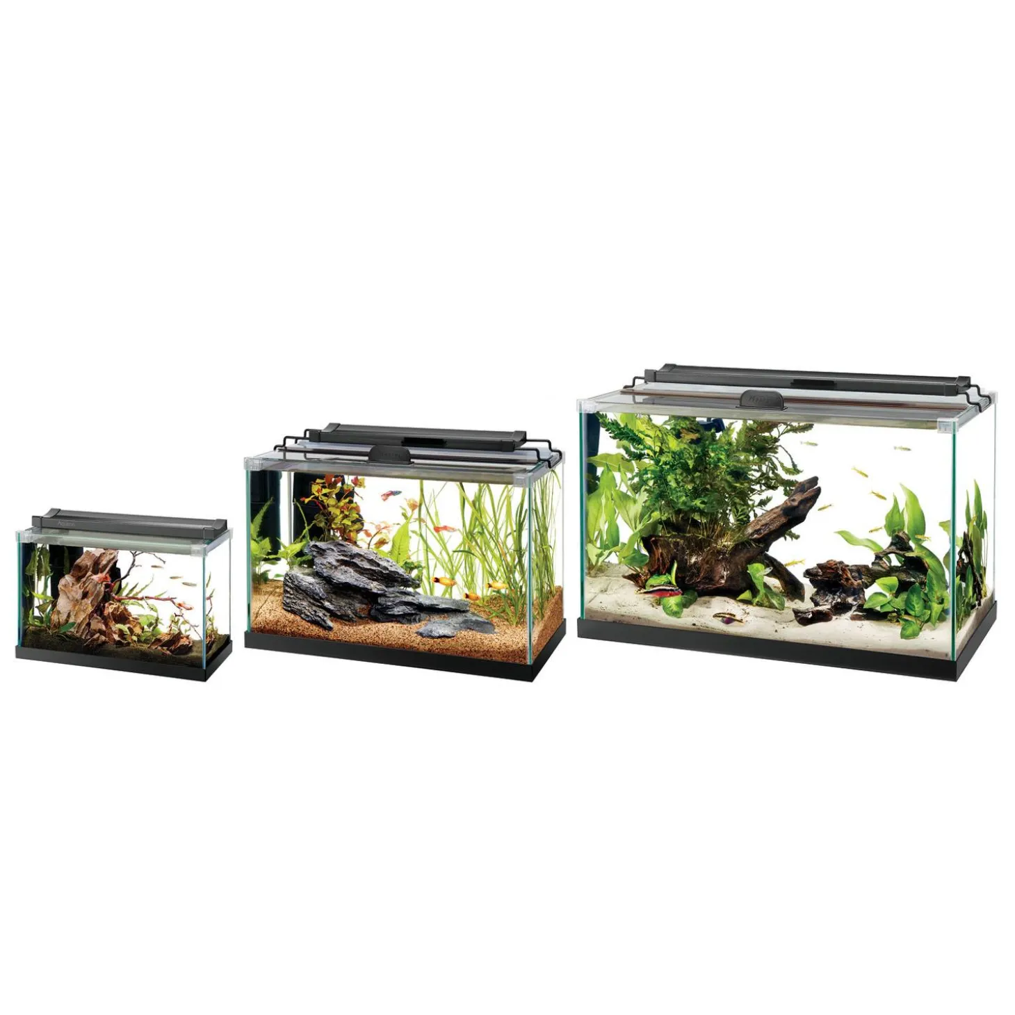 Rimless Rectangle Aquarium