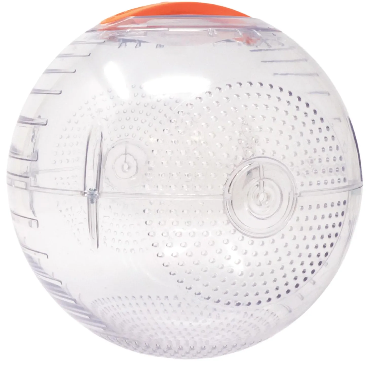 Roam Small Pet Exercise Ball