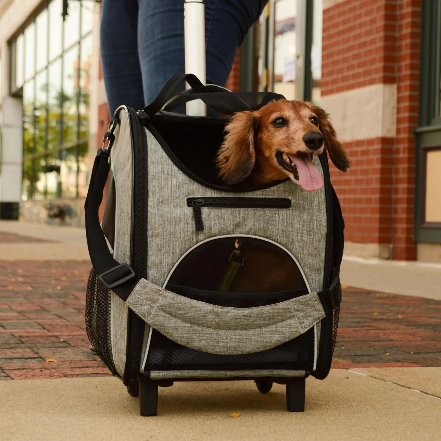 Rolling Heather Grey Carrier