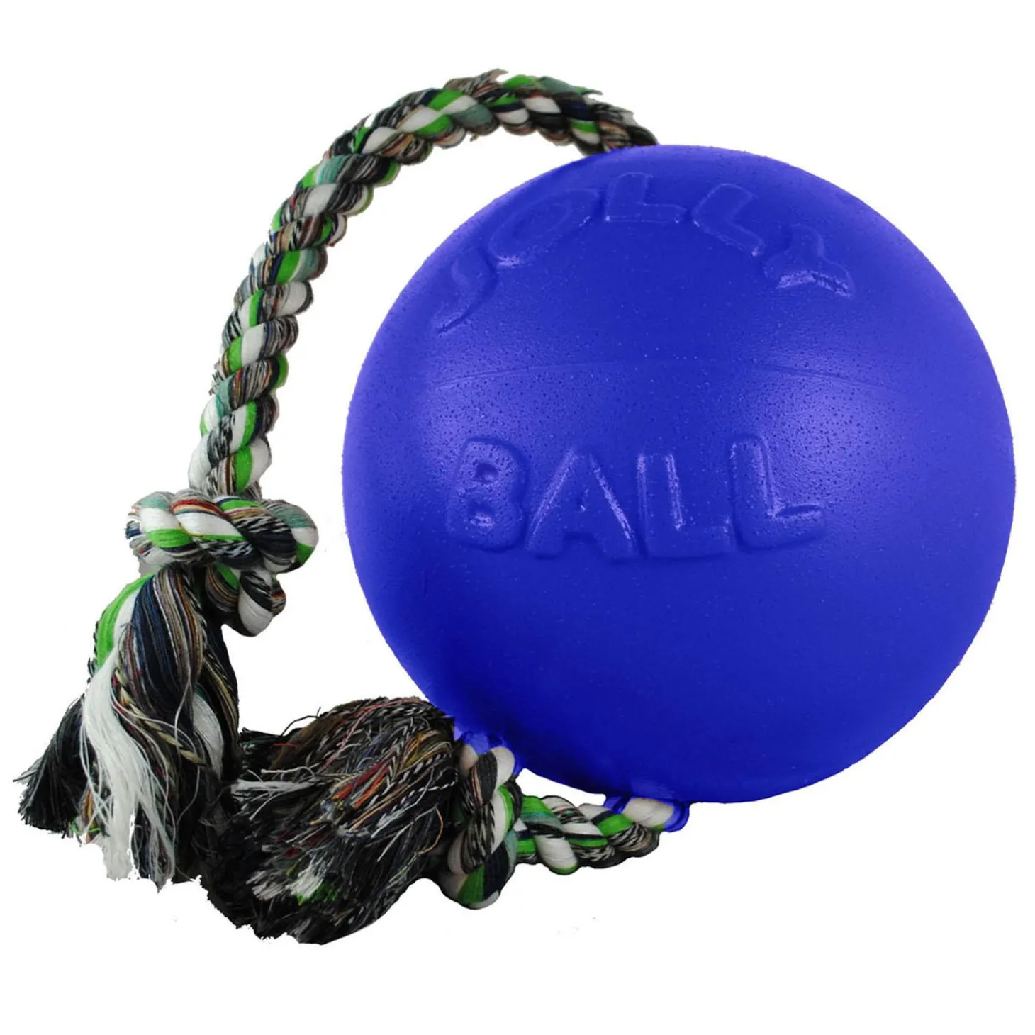 Romp-N-Roll Blue Dog Toy