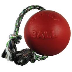 Romp-N-Roll Red Dog Toy