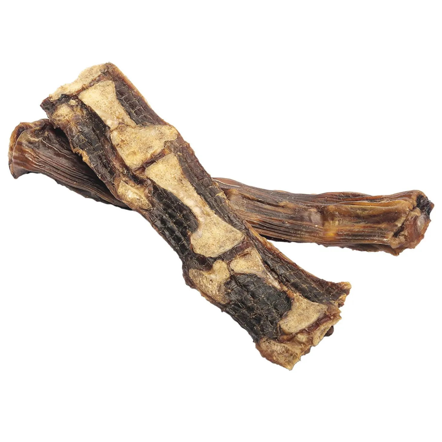 Roo in Two Dog Treats