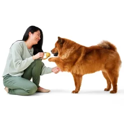 Rope Ring with Ball Dog Toy